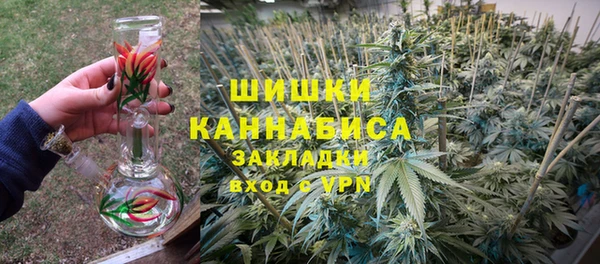трава Белокуриха