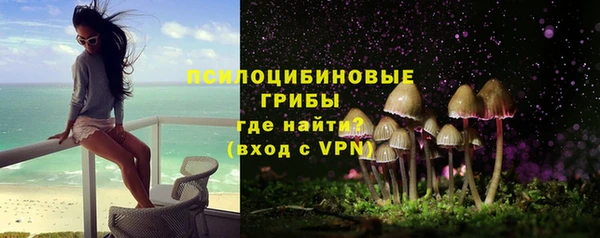 трава Белокуриха