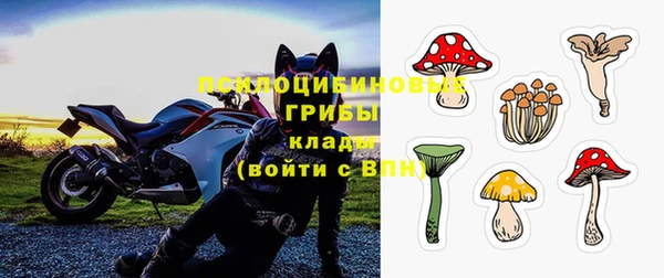 тгк Богородицк