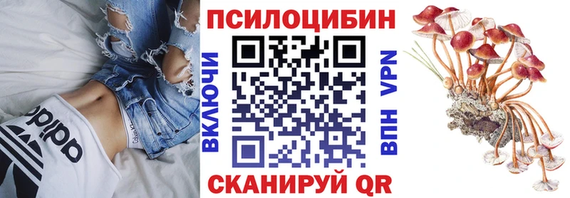 Псилоцибиновые грибы мухоморы Данков