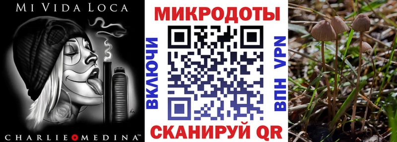 Купить где  Данков  Галлюциногенные грибы Magic Shrooms 