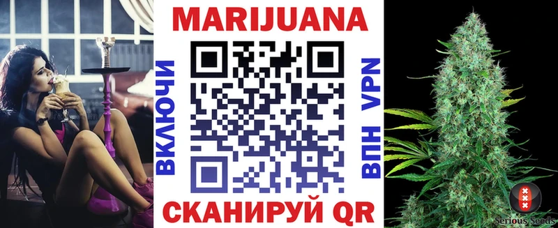 Купить  Данков  МАРИХУАНА семена 